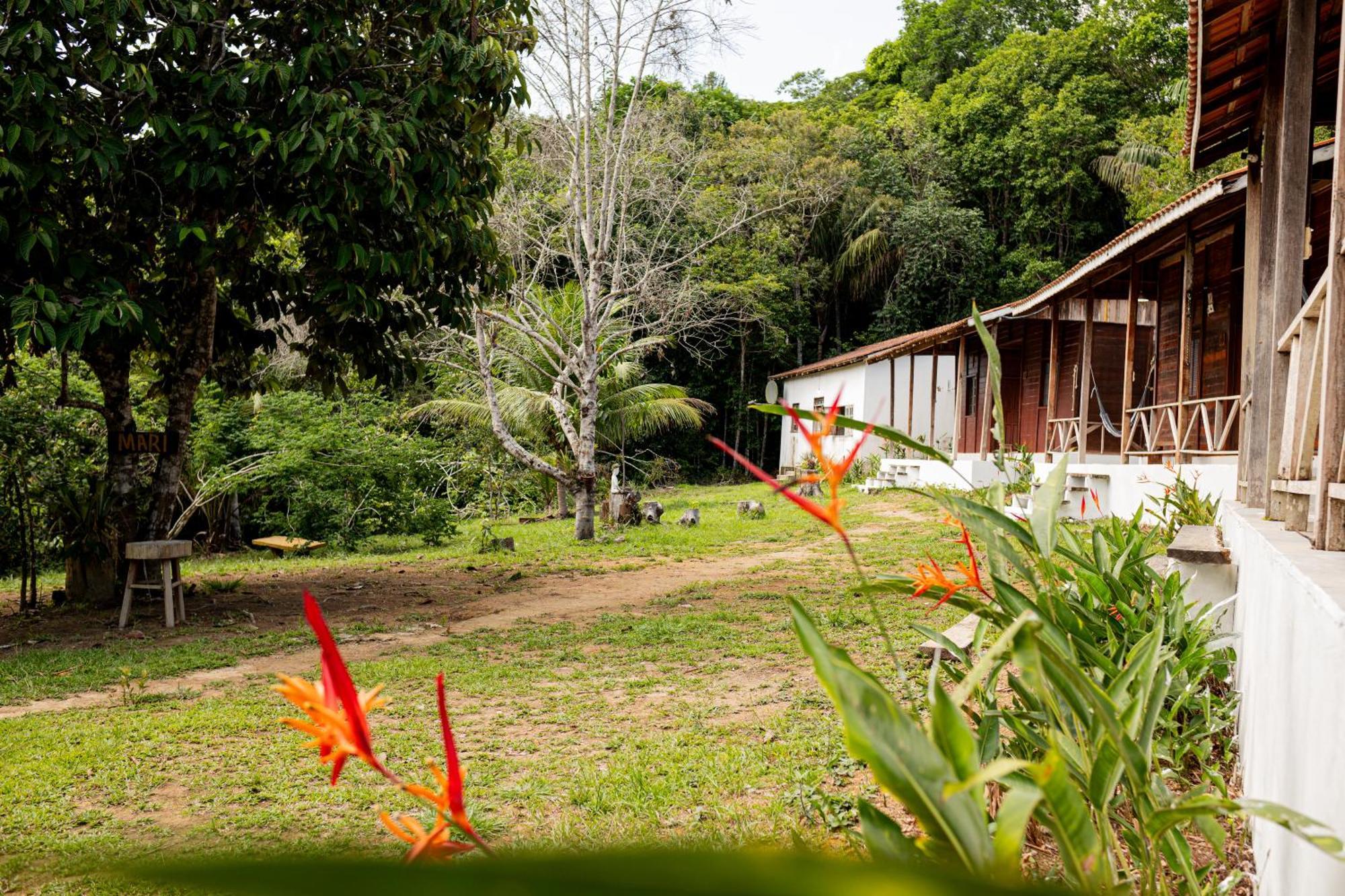 Refugio Mari Mari Lodge Presidente Figueiredo Buitenkant foto
