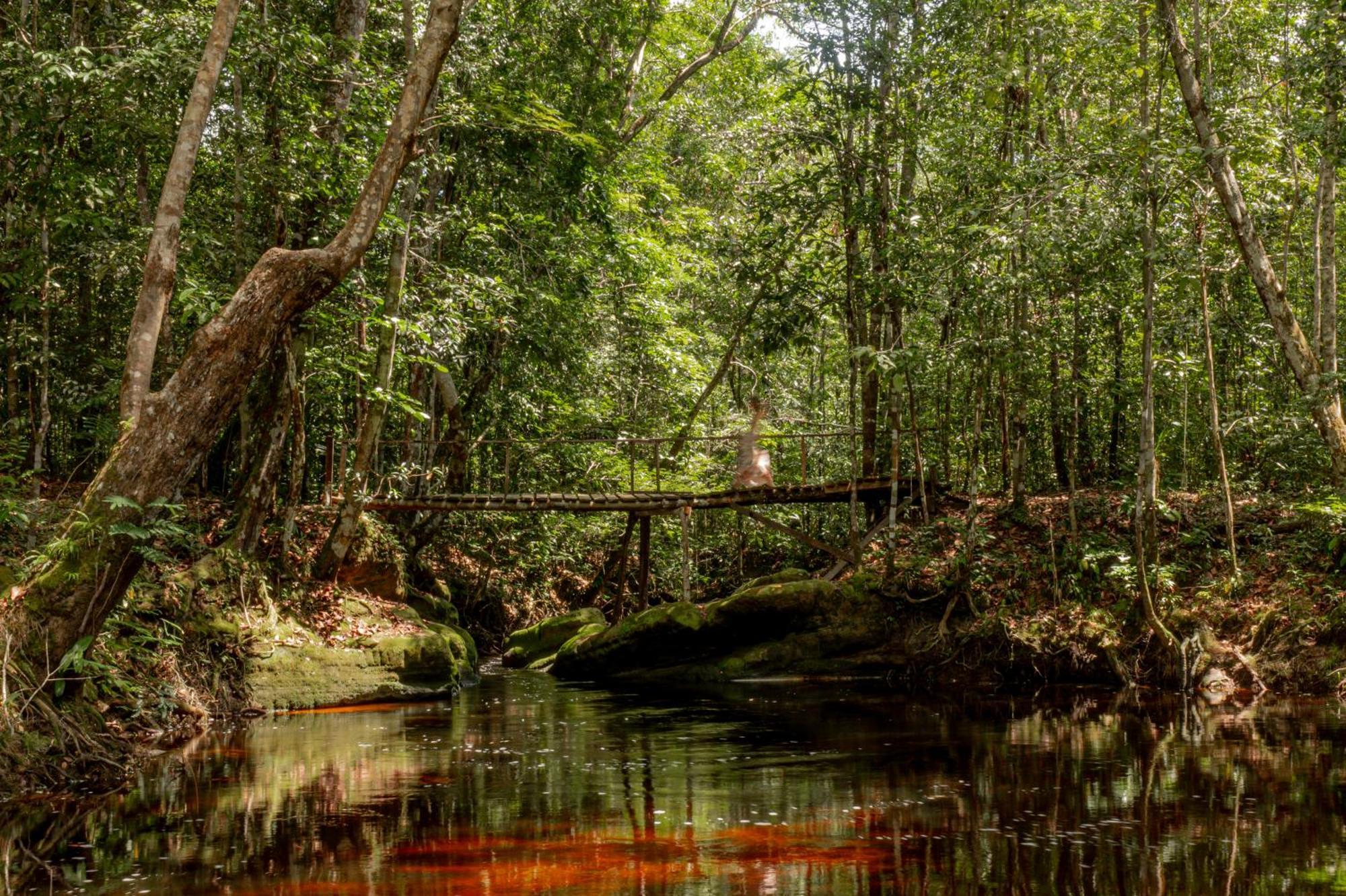 Refugio Mari Mari Lodge Presidente Figueiredo Buitenkant foto